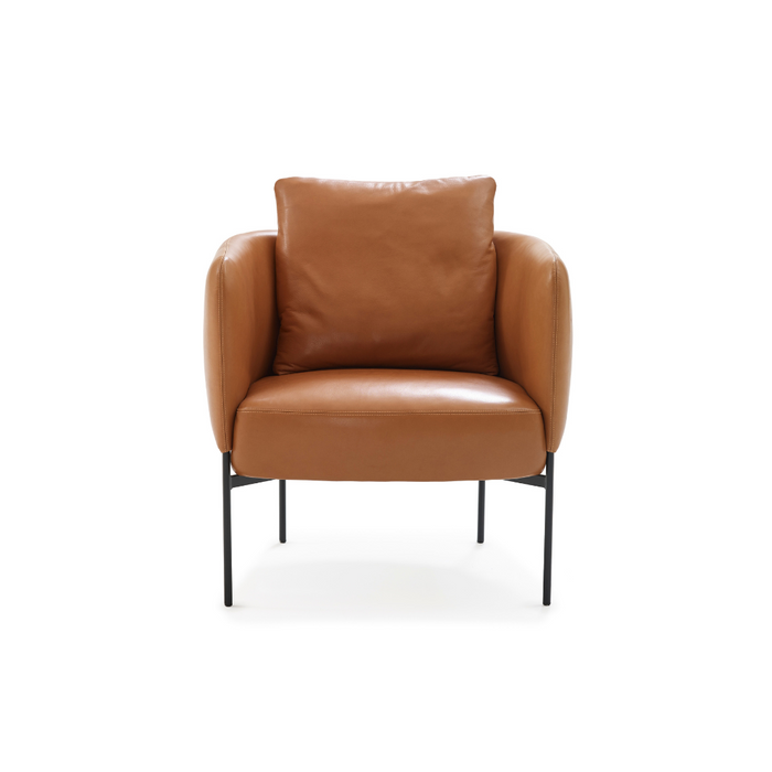 Bonnet Club Chair